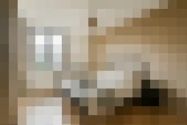 Johan van der Keukenstraat 18 Amsterdam thumbnail 15