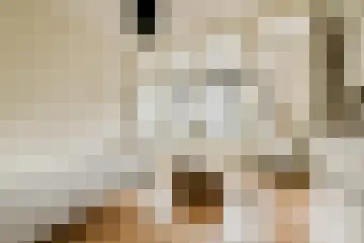 Johan van der Keukenstraat 18 Amsterdam thumbnail 19