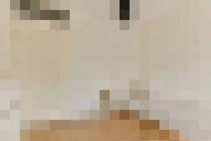 Johan van der Keukenstraat 18 Amsterdam thumbnail 20