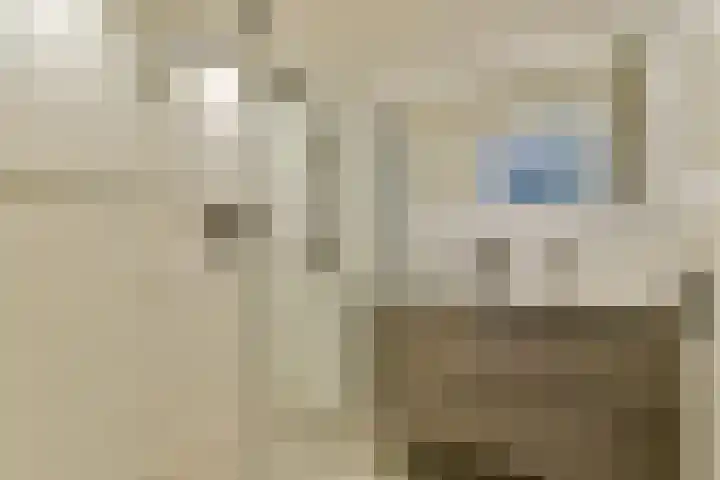 Johan van der Keukenstraat 194 Amsterdam thumbnail 16
