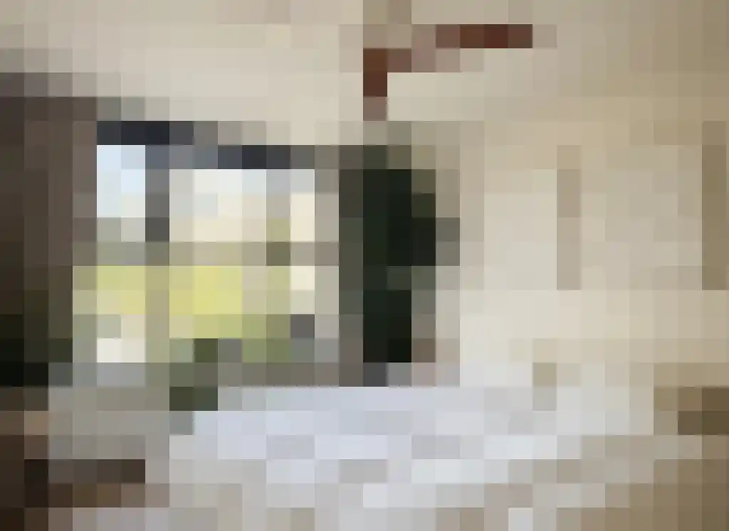 Johan van der Keukenstraat 204 Amsterdam thumbnail 5