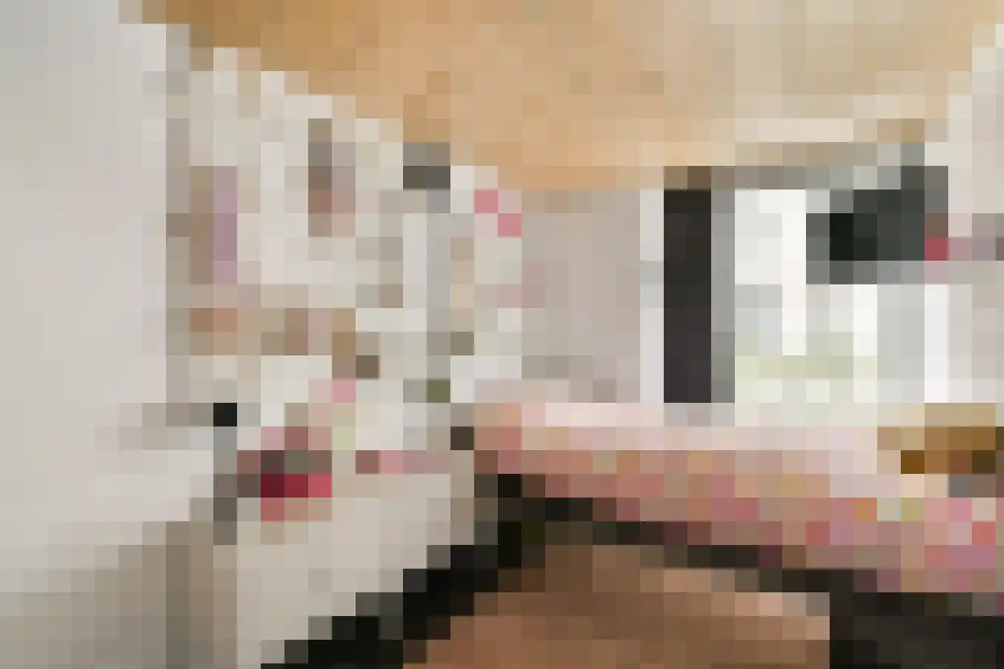 Johan van der Keukenstraat 99 Amsterdam thumbnail 18