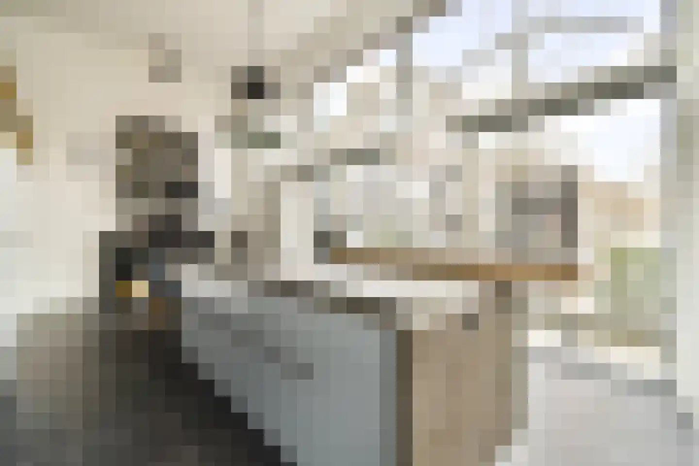 Johan van der Keukenstraat 99 Amsterdam thumbnail 5