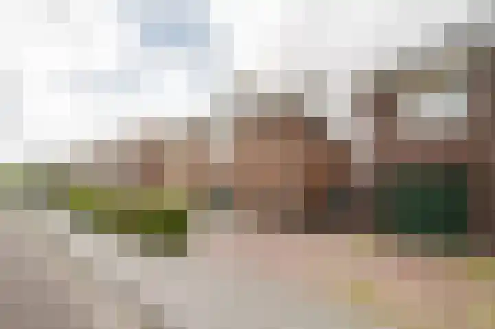Johan van der Poortenlaan 14 Spijkenisse thumbnail 10