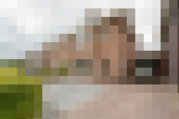 Johan van der Poortenlaan 14 Spijkenisse thumbnail 11