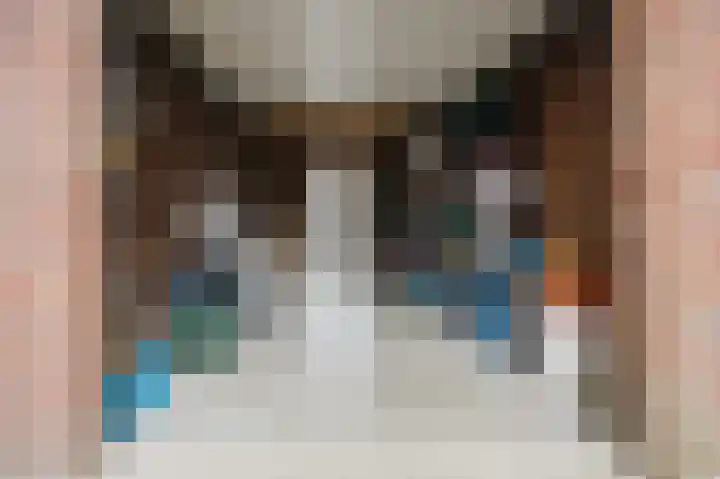 Johan van der Poortenlaan 14 Spijkenisse thumbnail 12