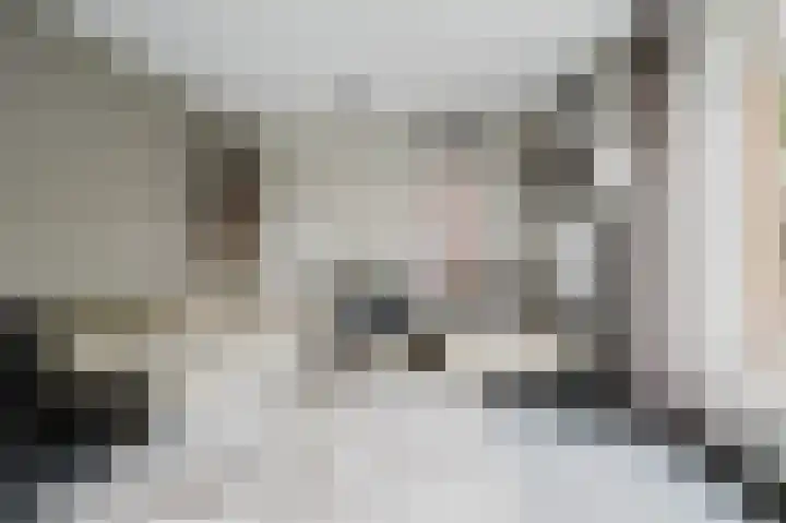 Johan van der Poortenlaan 14 Spijkenisse thumbnail 15