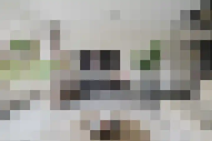 Johan van der Poortenlaan 14 Spijkenisse thumbnail 16