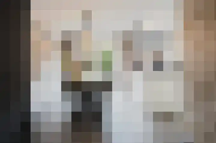 Johan van der Poortenlaan 14 Spijkenisse thumbnail 18