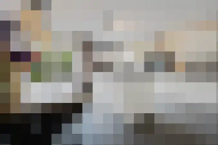 Johan van der Poortenlaan 14 Spijkenisse thumbnail 19