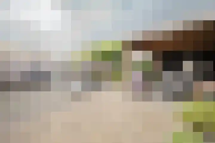 Johan van der Poortenlaan 14 Spijkenisse thumbnail 21