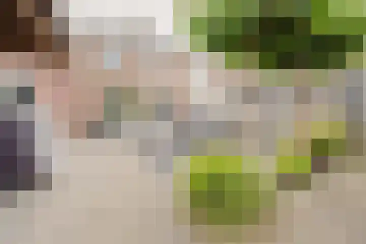 Johan van der Poortenlaan 14 Spijkenisse thumbnail 22