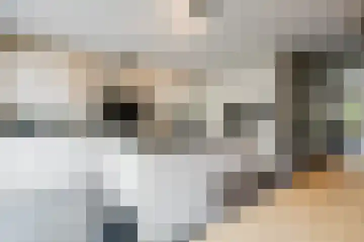 Johan van der Poortenlaan 14 Spijkenisse thumbnail 23