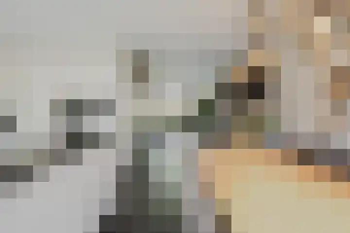 Johan van der Poortenlaan 14 Spijkenisse thumbnail 24