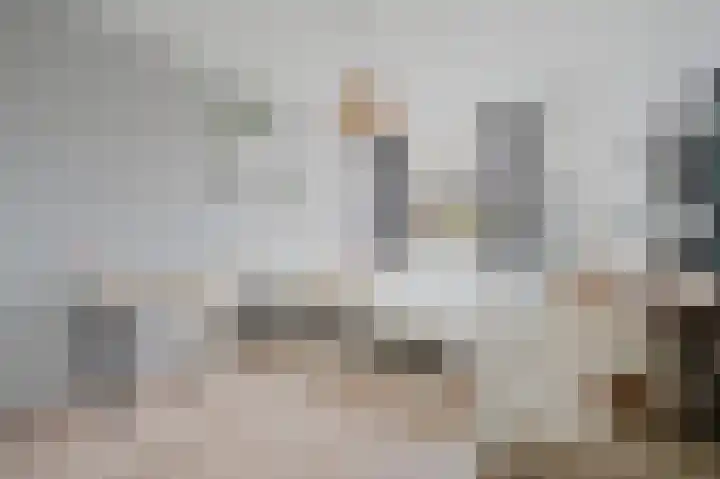 Johan van der Poortenlaan 14 Spijkenisse thumbnail 28