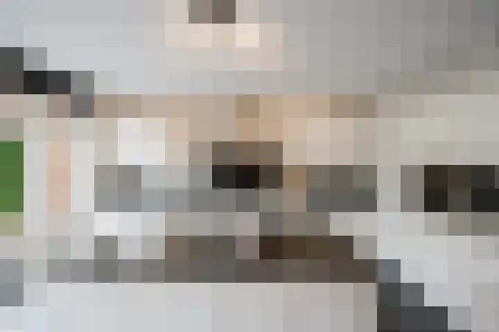 Johan van der Poortenlaan 14 Spijkenisse foto 3
