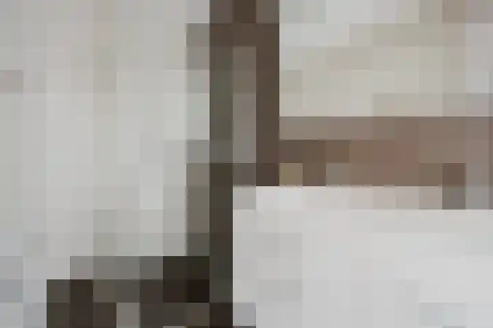 Johan van der Poortenlaan 14 Spijkenisse thumbnail 30