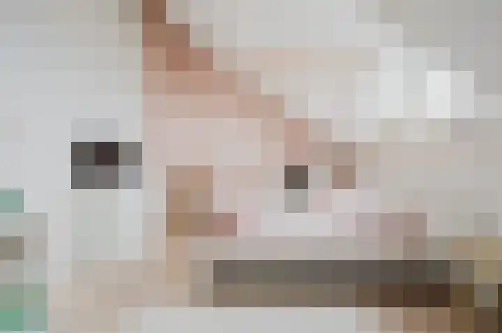 Johan van der Poortenlaan 14 Spijkenisse thumbnail 37