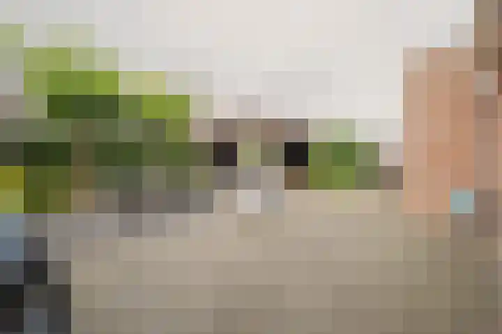 Johan van der Poortenlaan 14 Spijkenisse thumbnail 5