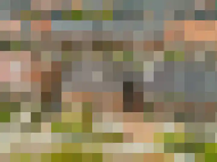 Johan van der Poortenlaan 14 Spijkenisse thumbnail 6