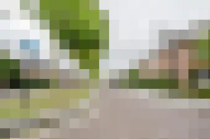 Johan van der Poortenlaan 14 Spijkenisse thumbnail 8