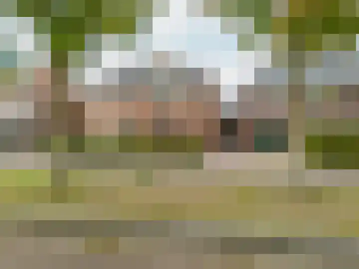Johan van der Poortenlaan 14 Spijkenisse thumbnail 9