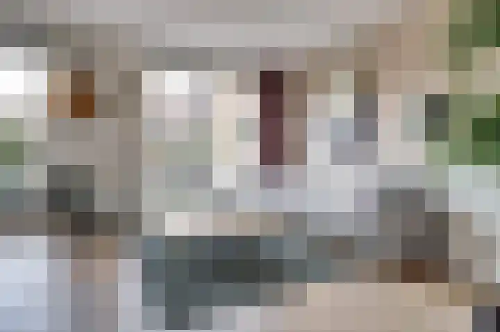 Johan van der Poortenlaan 74 Spijkenisse thumbnail 10