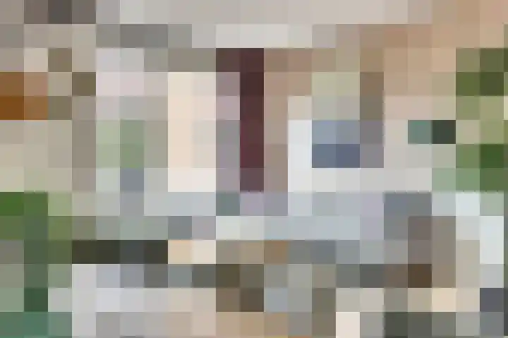 Johan van der Poortenlaan 74 Spijkenisse thumbnail 11