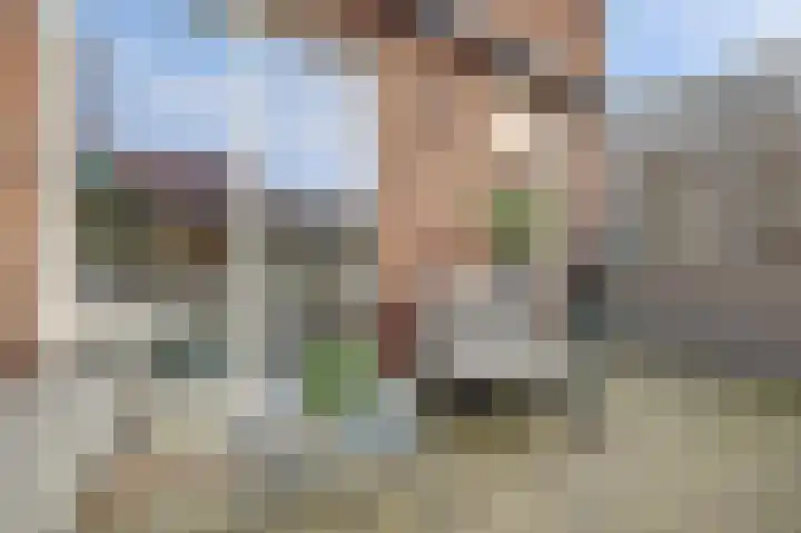 Johan van der Poortenlaan 74 Spijkenisse thumbnail 12
