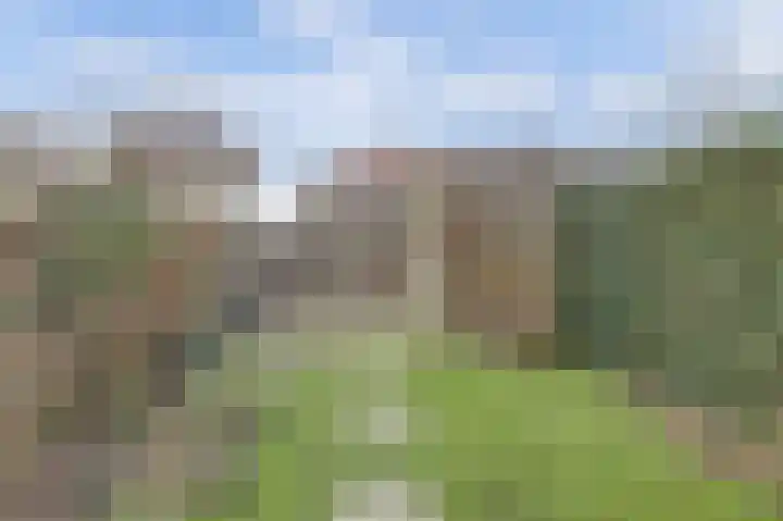 Johan van der Poortenlaan 74 Spijkenisse thumbnail 15