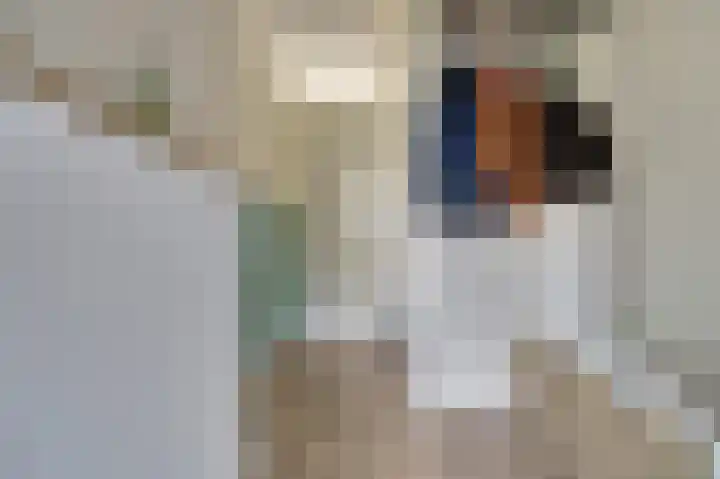 Johan van der Poortenlaan 74 Spijkenisse thumbnail 18