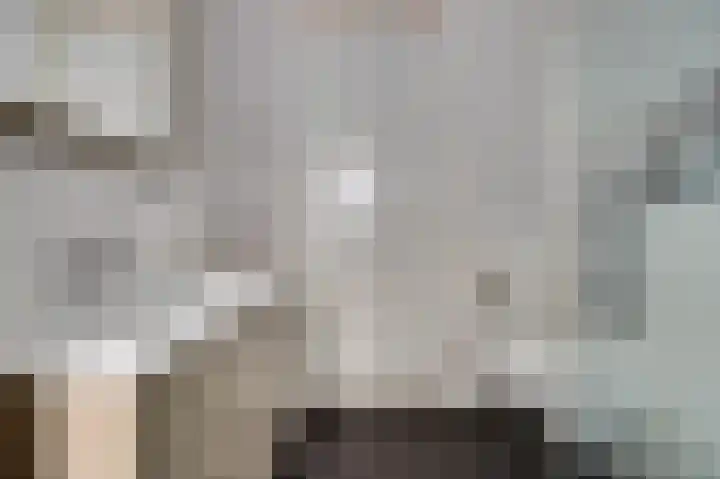 Johan van der Poortenlaan 74 Spijkenisse thumbnail 19