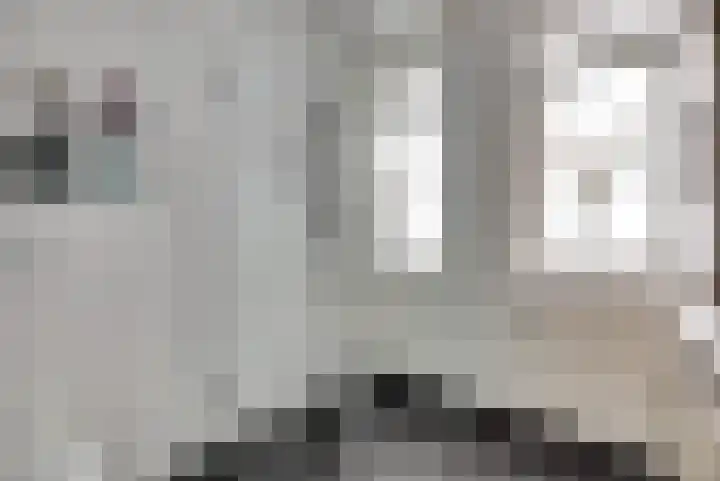 Johan van der Poortenlaan 74 Spijkenisse thumbnail 21