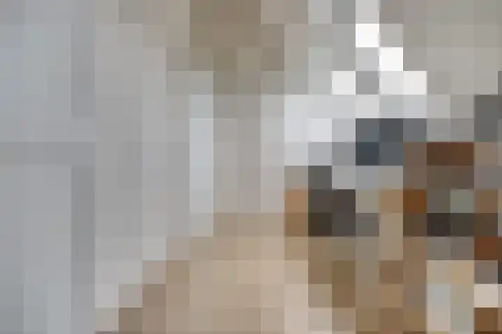 Johan van der Poortenlaan 74 Spijkenisse thumbnail 30