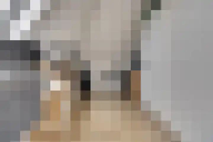 Johan van der Poortenlaan 74 Spijkenisse thumbnail 31