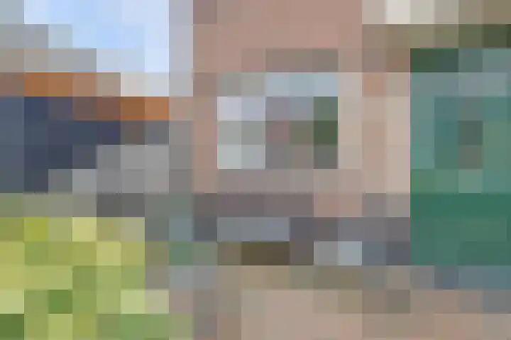 Johan van der Poortenlaan 74 Spijkenisse thumbnail 34