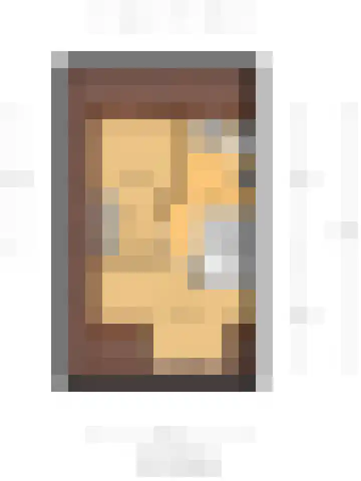 Johan van der Poortenlaan 74 Spijkenisse thumbnail 42