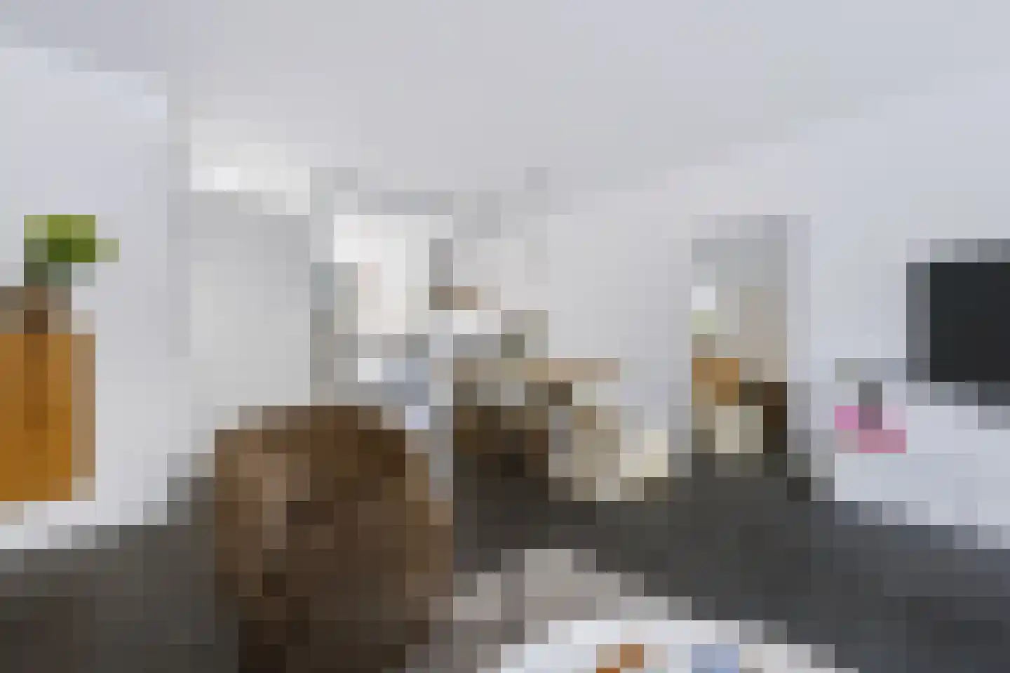 Johan van der Poortenlaan 75 Spijkenisse thumbnail 13