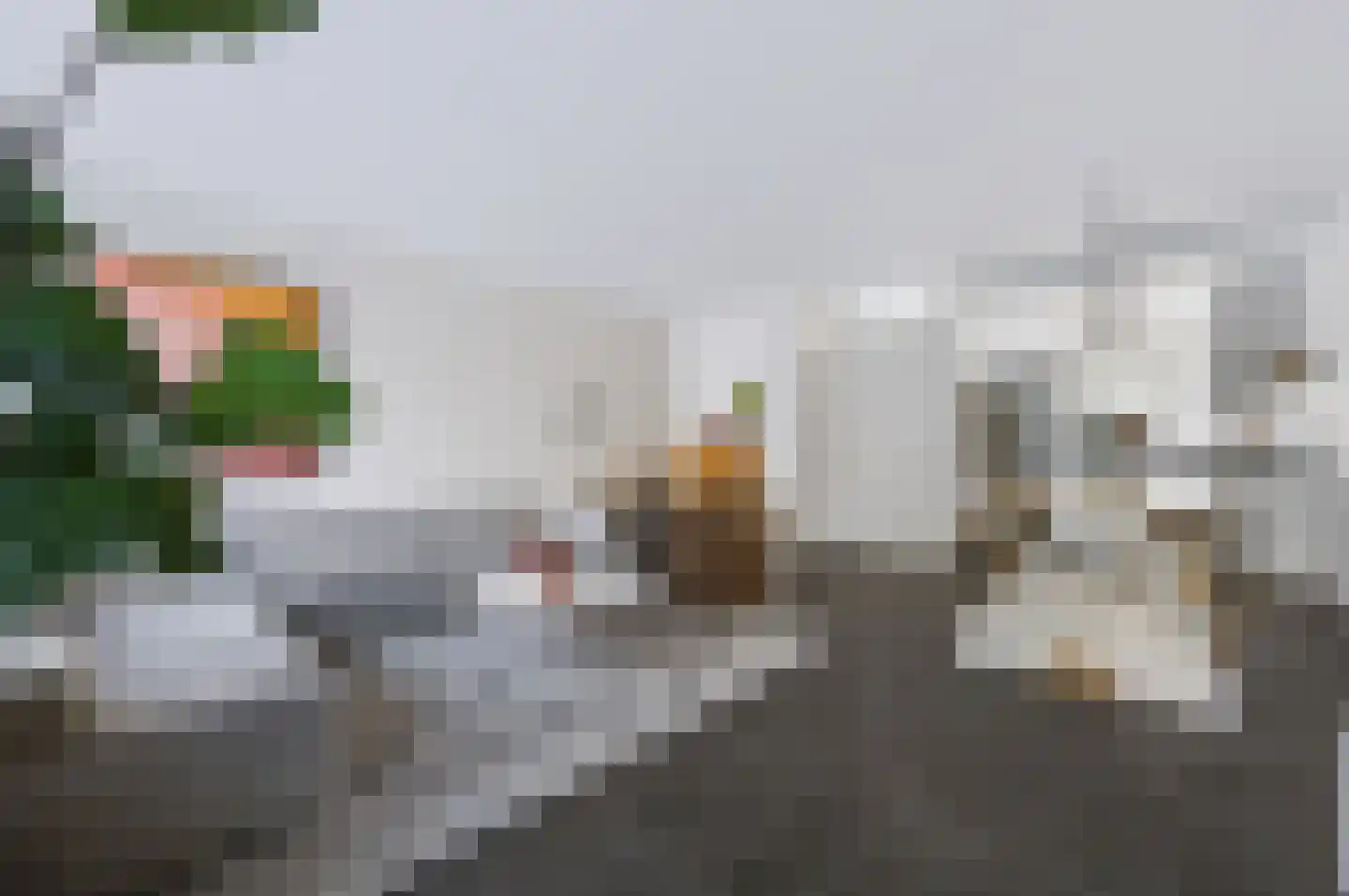 Johan van der Poortenlaan 75 Spijkenisse thumbnail 14