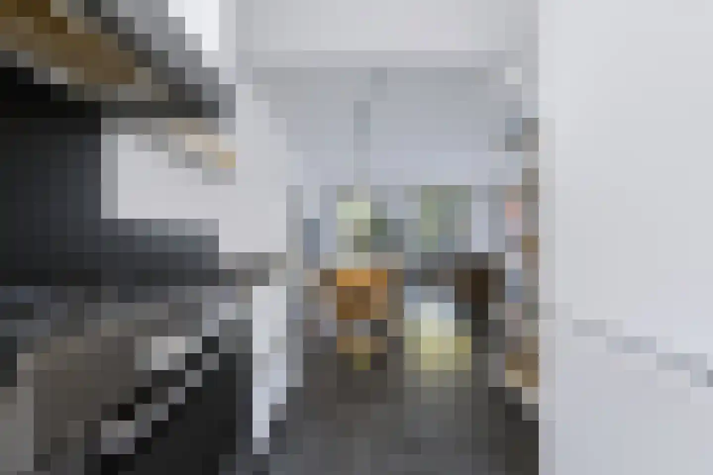 Johan van der Poortenlaan 75 Spijkenisse thumbnail 17