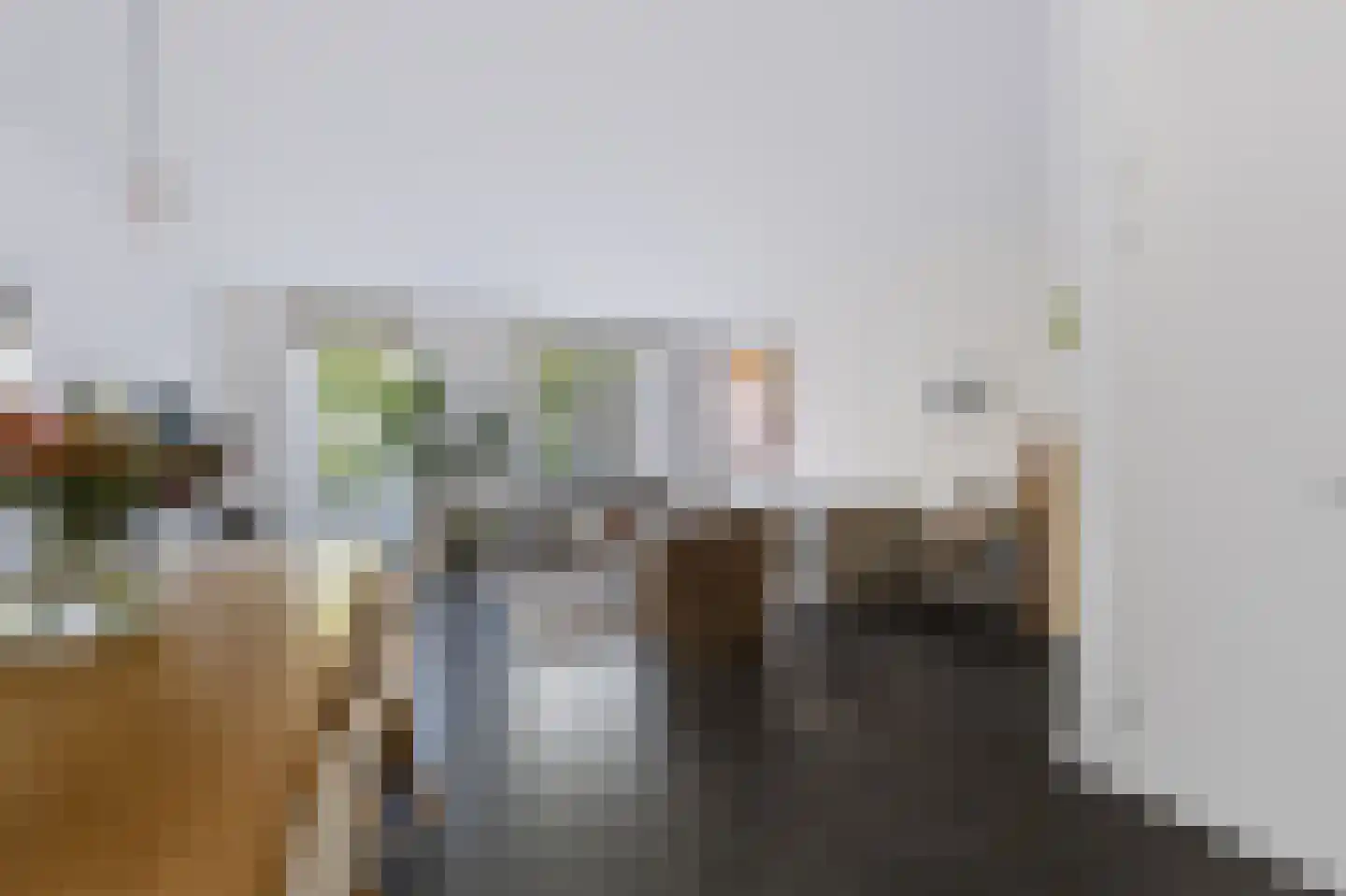 Johan van der Poortenlaan 75 Spijkenisse thumbnail 18