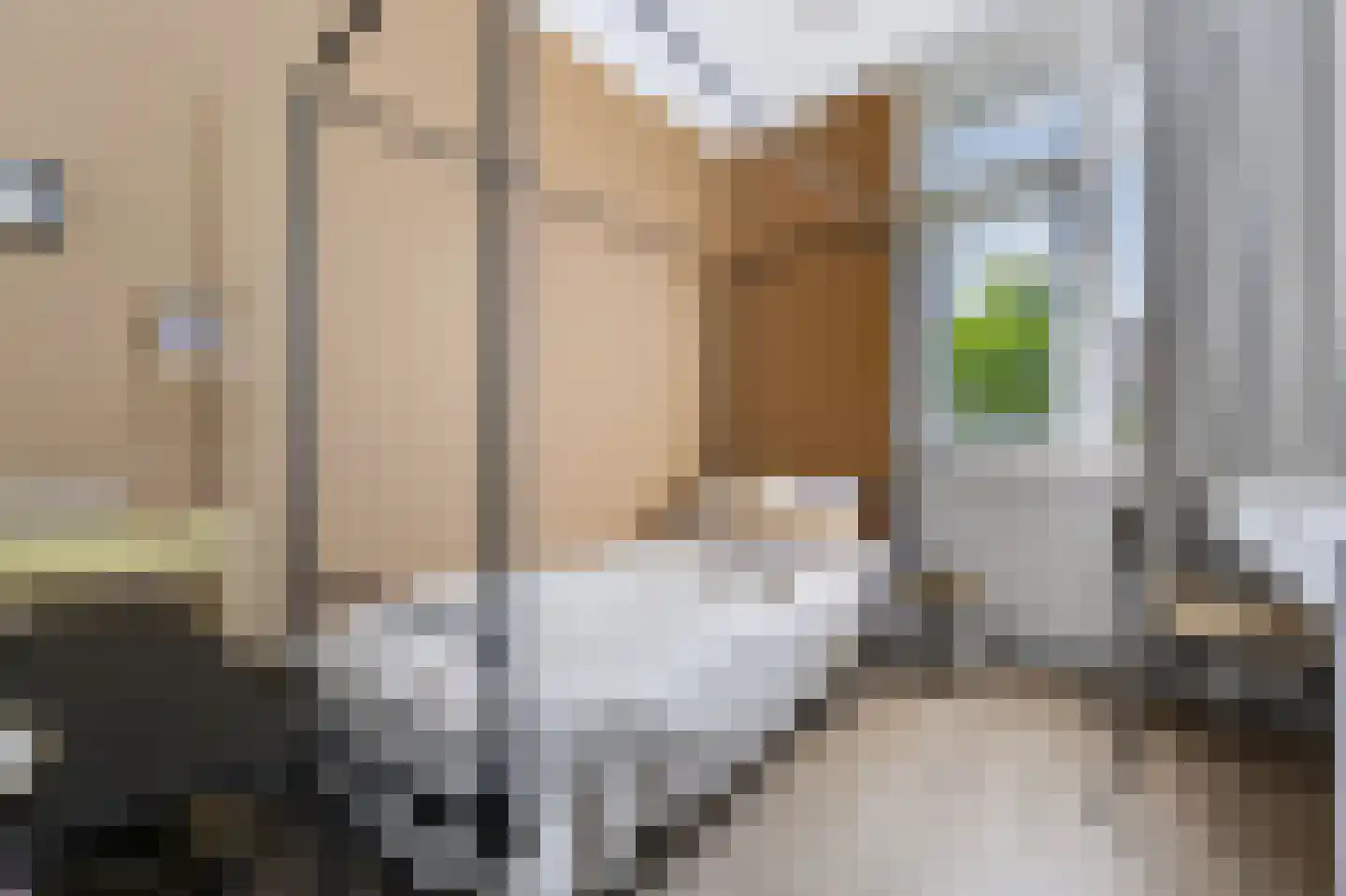Johan van der Poortenlaan 75 Spijkenisse thumbnail 28