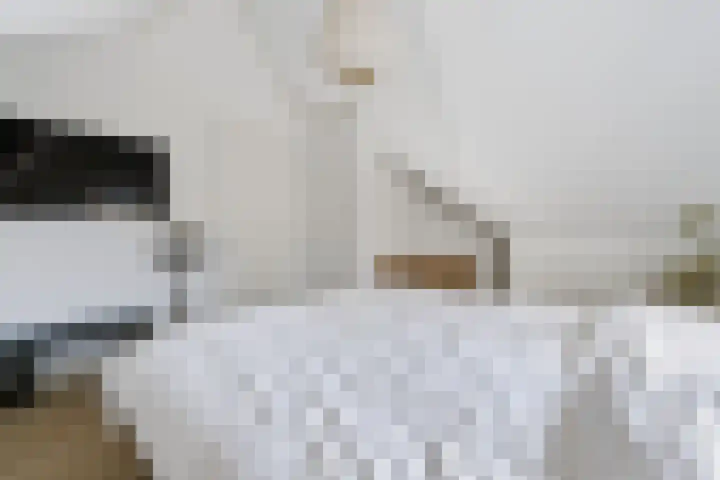 Johan van der Poortenlaan 75 Spijkenisse thumbnail 34
