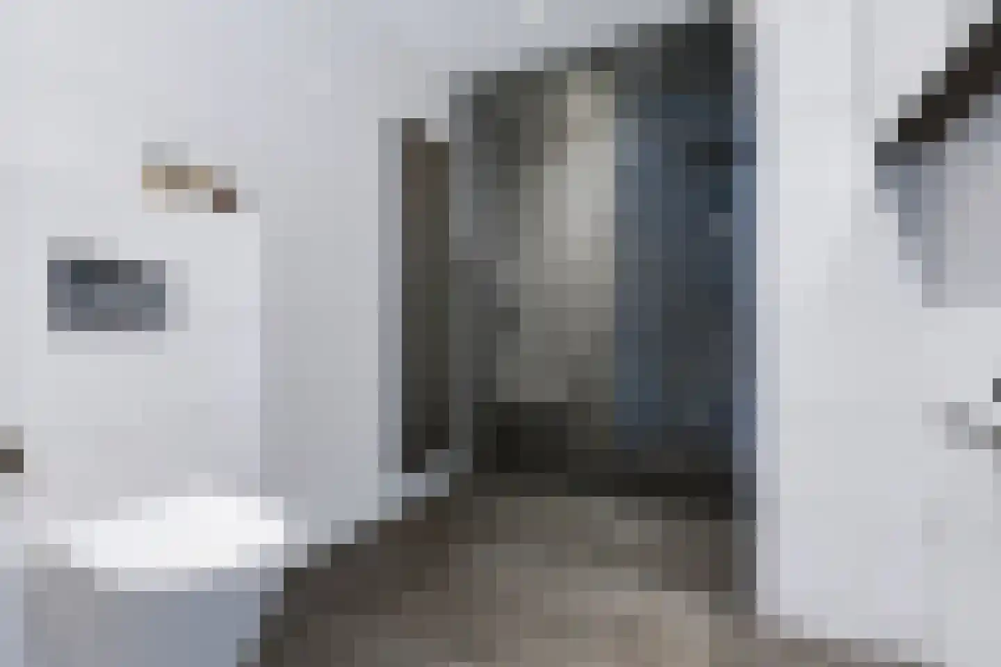 Johan van der Poortenlaan 75 Spijkenisse thumbnail 5