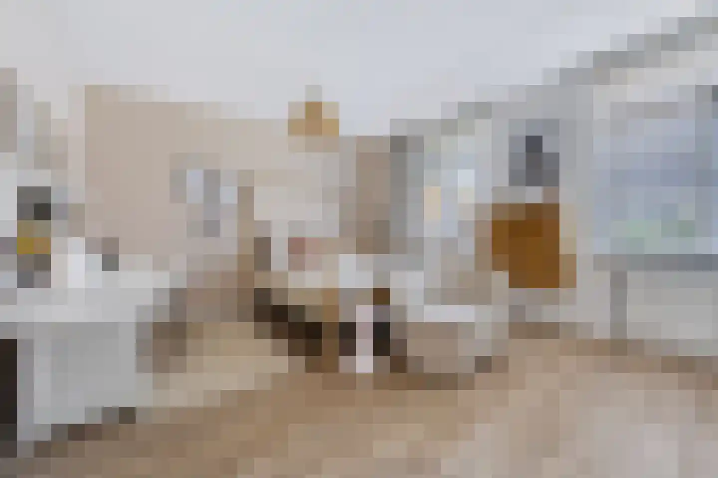 Johan van der Poortenlaan 75 Spijkenisse thumbnail 6