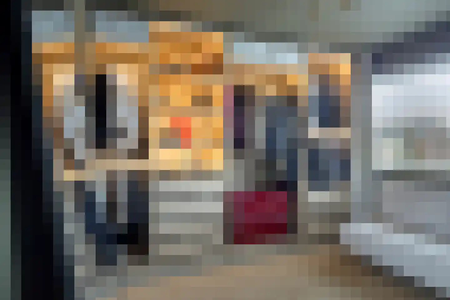 Johan van Egmondstraat 10 Gorinchem thumbnail 5