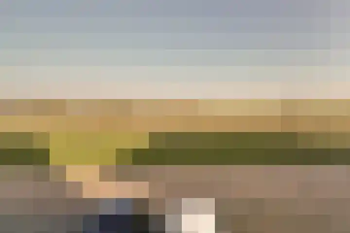 Johan van Gheelborg 18 Spanbroek thumbnail 20