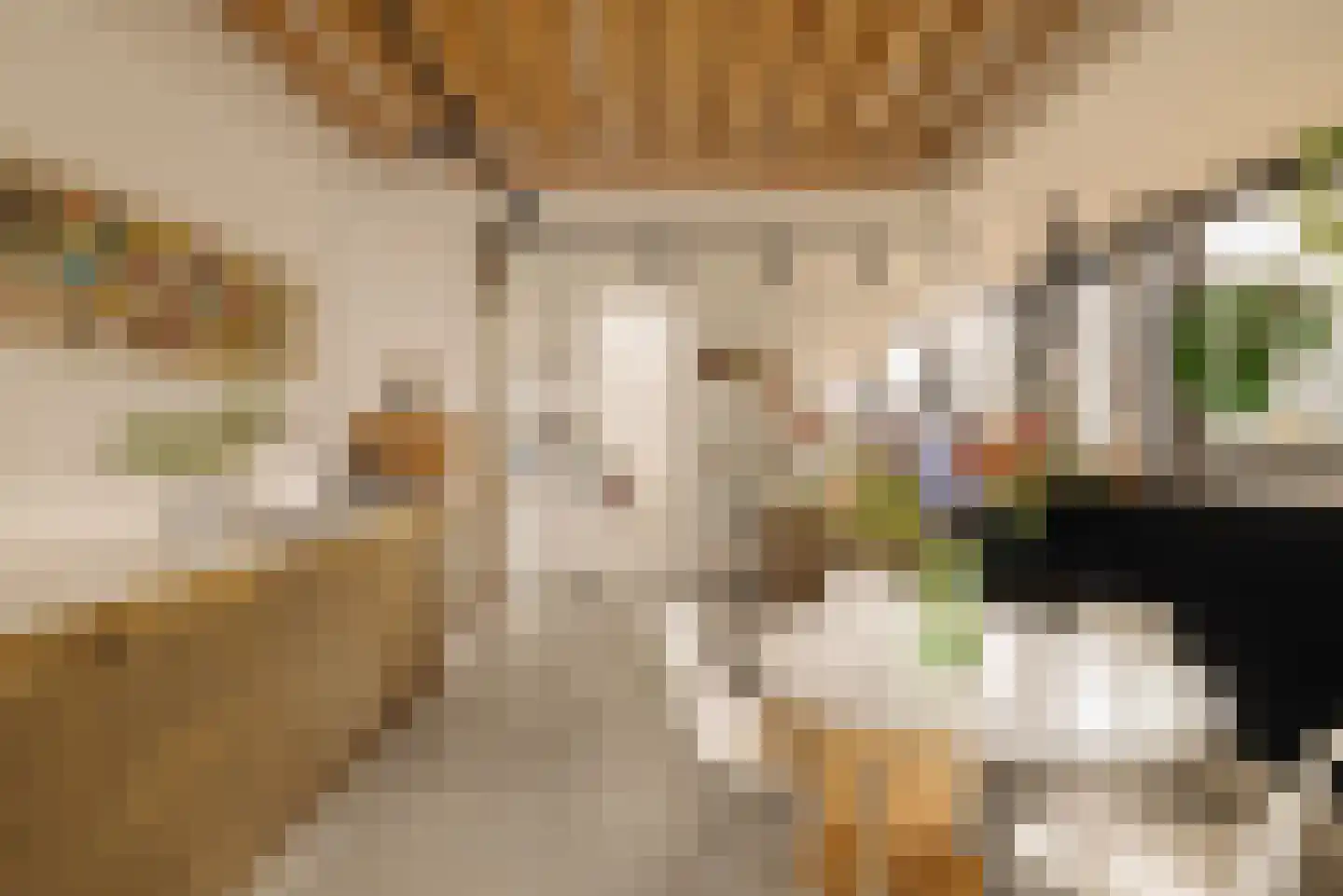 Johan van Hasseltkade 227 A Amsterdam thumbnail 11