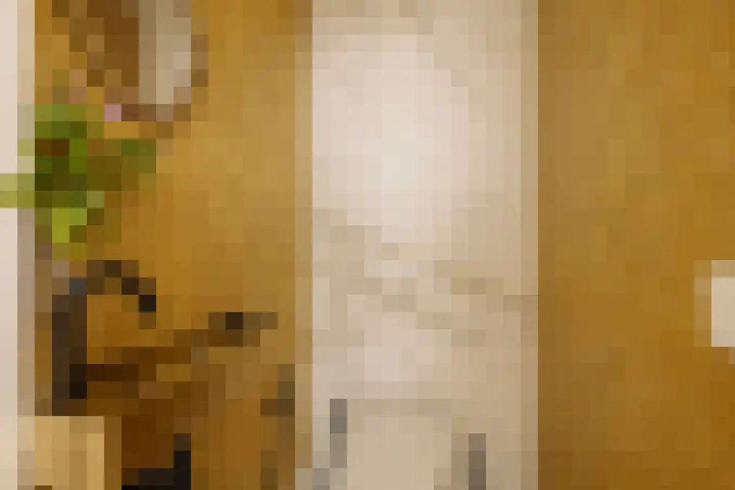 Johan van Hasseltkade 227 A Amsterdam thumbnail 26