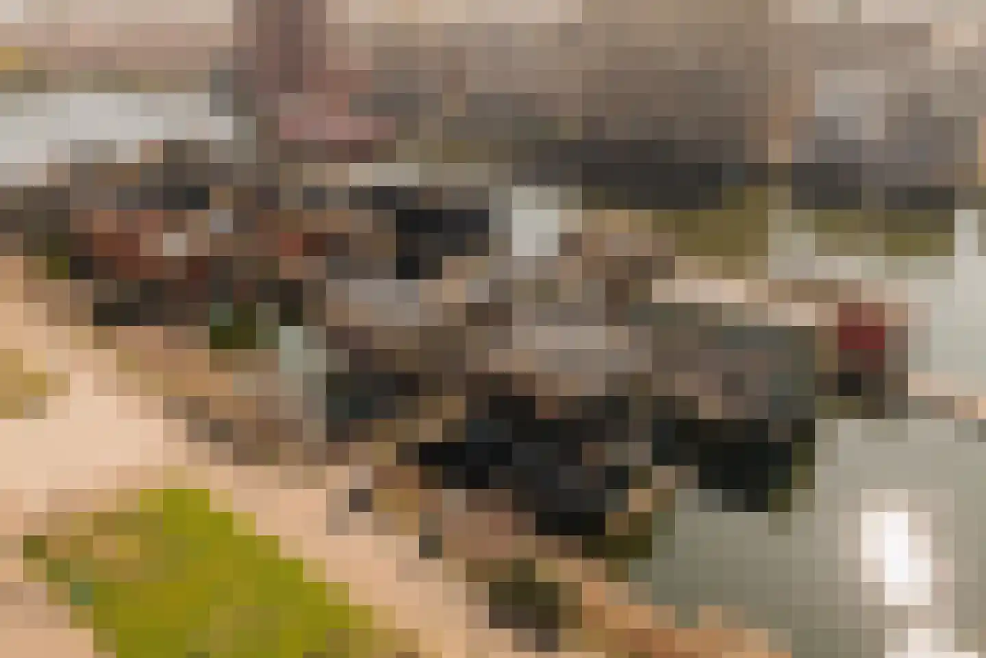 Johan van Hasseltkade 227 A Amsterdam thumbnail 36